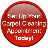 San Diego Carpet Cleaning!